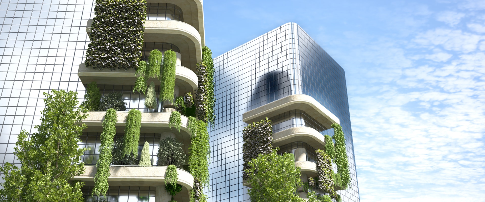 Exploring the Future of Web Development in the Construction Industry